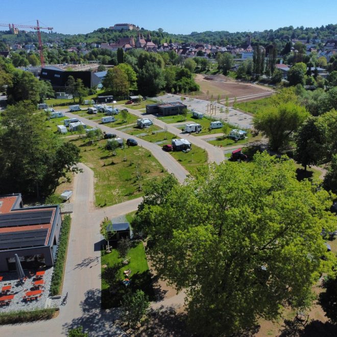 dji_fly_20250511_104718_940_1746953316920_photo_optimized-1536x1152